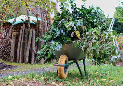Green d'automne: soins et beauté de votre jardin