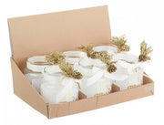 Lot de 12 Bougies Prof Kim C-Vt Pigna en Disp6