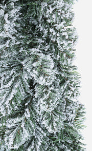 Couronne Innsbruck Enneigé D75