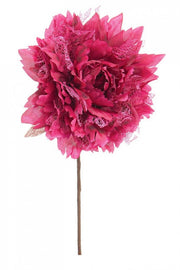 12x Pioche Rose Frisée Bourgogne