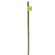 1 Tuteur Canne Bambou Plastifié Vert 60Cm