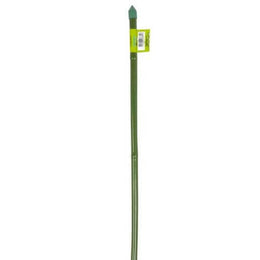 1 Tuteur Canne Bambou Plastifié Vert 60Cm