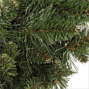 6x Canettes Corona Cansiglio D60