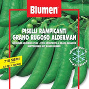 Graines De Pois Grimpants Gran Rugoso Alderm En Enveloppe