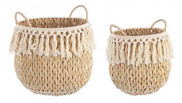 4x Route Set2 2M Alma Vers