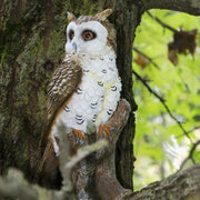 Statue de jardin chouette Verdelook