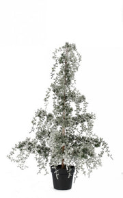 Pino Collalto Innevato H120 - Sapin enneigé 120 cm