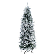 Arbre de Noël refusé Dresde 240 cm