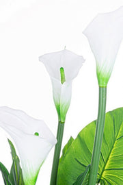 Plante calla avec pot 27 feuilles h100