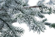 Pino Elbrus Innevato H150 - Sapin de Noël enneigé de 150 cm