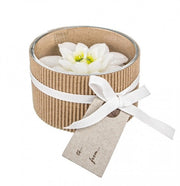 Lot de 12 Bougies Étoile de Noël Blanc C