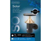 Applique solaire en acier inoxydable