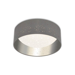 Plafonnier LED Stea Scello, Ø 32 cm, 12 W, gris argenté