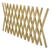 Examen extensible mt 100x250 imprégné