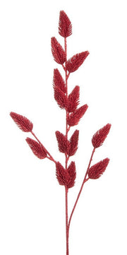 Nativité 6F Fastosa Bordeaux L