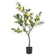 Citronnier avec pot 198 feuilles hauteur 120 cm