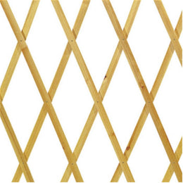 CHARPENTE EN BOIS NATUREL EXTENSIBLE