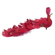 Paon plume rouge avec clip cm30x5h11