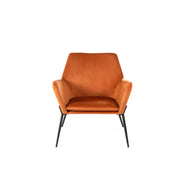 Poltrona en Velours 70x71,5x79 cm