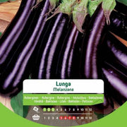 Graines d'aubergine longues en enveloppe
