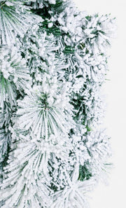 4x Corona Cermis Innevato D80