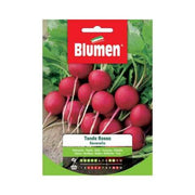 Graines de radis rond rouge Blumen