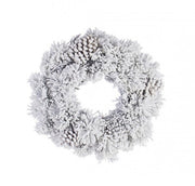 6x Couronne Arves Innevato D40