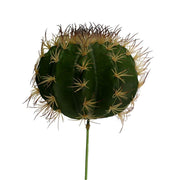 Branche de cactus vert cmø25h17-30