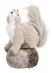 4x Scoiattolo Hivernal C