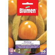 Graines Alkekengi Fruits Comestibles