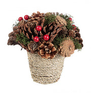 8x Composition Sequoia C