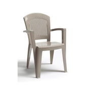 Scab tourterelle Super Elegant Scab