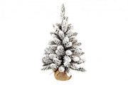 Sapin enneigé de 6x Oregon H60