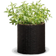 Vase Porte-plantes Cylindrique 27,6x27,6x28,3h cm - 7 litres de Capacité