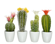 Cactus avec pot 7,5x7,5x24h cm