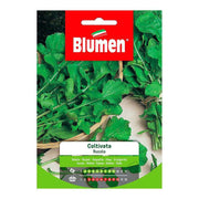 Graines de roquette cultivées en enveloppe