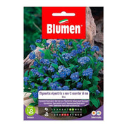 Blue Myosotis Alpestris Ou Myosotis Graines En Enveloppe