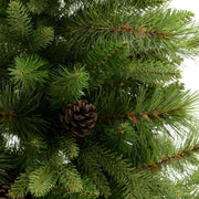 Arbre du sinaï vert avec des pommes de pin cmø137h240 avec 2982 branches