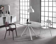 Table Extensible 120-180 x 90 cm