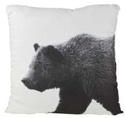 Coussin ours xf-1311 cm. 60x60