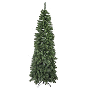 Monte Vettore arbre vert mince 451 branches cmø64h150