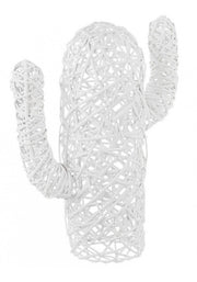4x Cactus Mexique Blanc H55