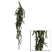 Branche de cactus suspendue cm10,2x10,2h76,2