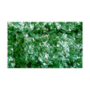 Laurier à feuilles persistantes 1x3 m