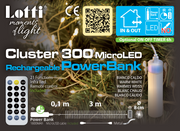 Cluster 3m M-P18 300 MicroLED Téléc. Lumières de Noël IR 21F