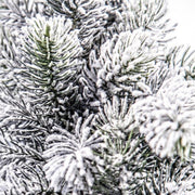 Sapin enneigé de 6x Oregon H60