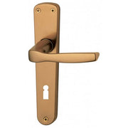 Poignée de porte anodisée bronze BL F.Y.
