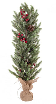 3x Pino Oliver Baies Rouges H70cm