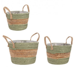 4x Set3 Path 2M Alyce To Verde-Naturel