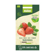 Graines de fraises bio